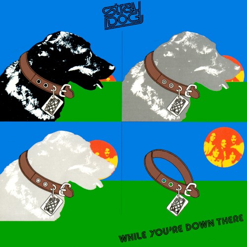 While You’re Down There