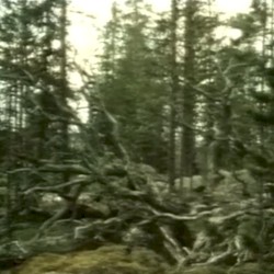 𝔅ergsrået