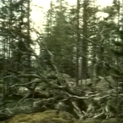 𝔅ergsrået