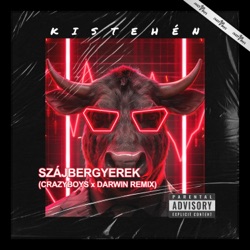 KISTEHÉN - SZÁJBERGYEREK (CRAZYBOYS x DARWIN Remix)