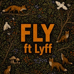 Fly