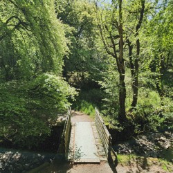 Grounds