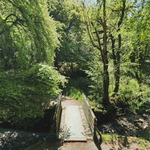 Grounds