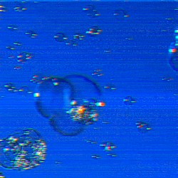 981B84011000