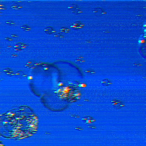 981B84011000