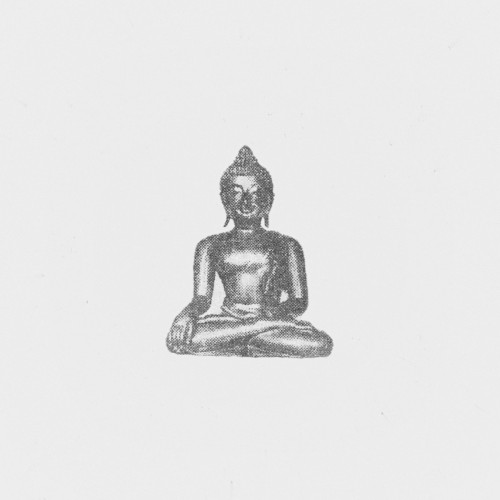Amata