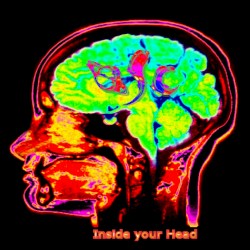 Inside Your Head