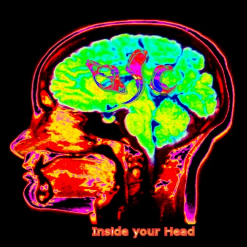 Inside Your Head