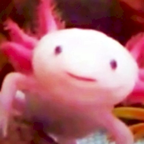 The Very Precious Smile of Axolotl