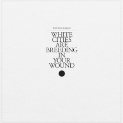 White Cities Are Breeding in Your Wound
