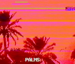 Palms