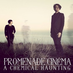 A Chemical Haunting