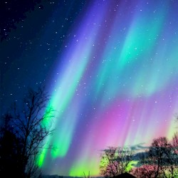 Natural Phenomena