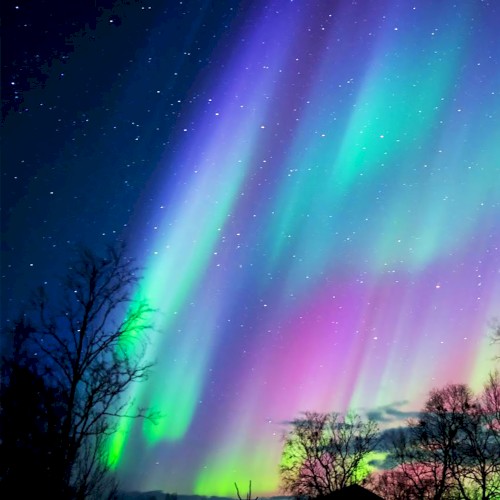 Natural Phenomena