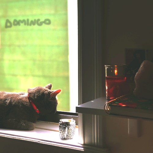 Domingo