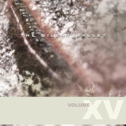 The Silent Ballet, Volume XV: समय किसी की प्रतीक्षा नही करता