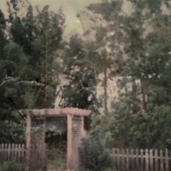 Backyard Cemetery: Revisited