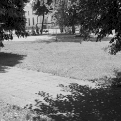 Talia b/w Taxying
