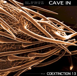 Coextinction Release 13