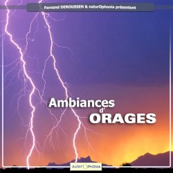 Ambiances d'orages - Soundscapes of Thunderstorms