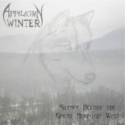Silence Before the Great Mountain Wind