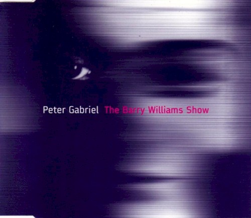The Barry Williams Show