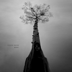Artifact