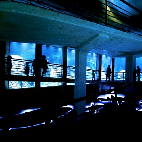 A Day at the Aquarium