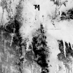 Taciturn Manner