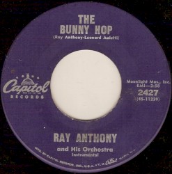 The Bunny Hop / The Hokey Pokey