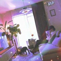 Hotel Suite