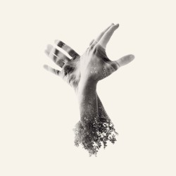The Nothing