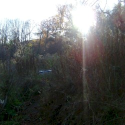 Hut