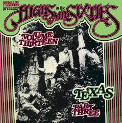Highs in the Mid Sixties, Volume 13: Texas Part 3