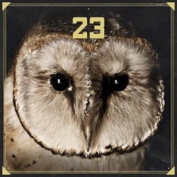 23