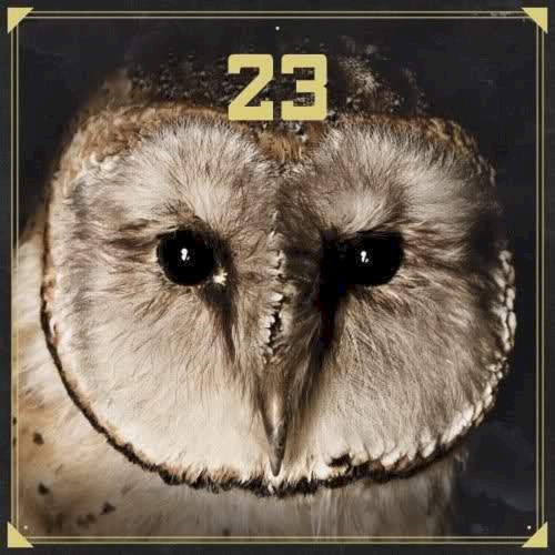 23
