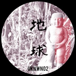 Unknown 02