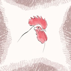 Rooster