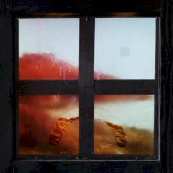 The Sorry Window