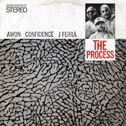 The Process
