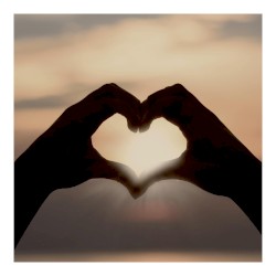 Shape of My Heart