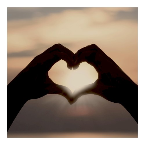 Shape of My Heart