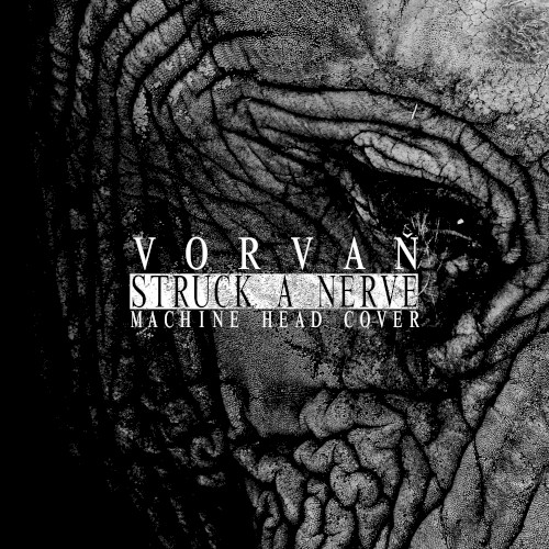 Struck a Nerve (Machine Head cover)