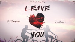 Leave You (Dimen5ions & DJ Alejandro Bachata Remix)