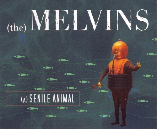 (A) Senile Animal