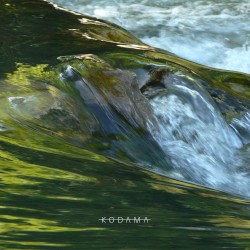 Asleep by the River