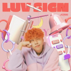 LUV SIGN