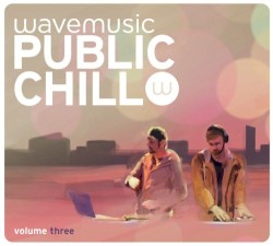 Public Chill, Volume Three