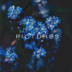 Pictures