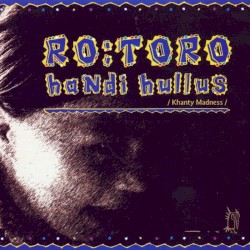 Handi hullus